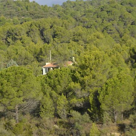 La Petite Cigale Villa Cesseras Eksteriør bilde