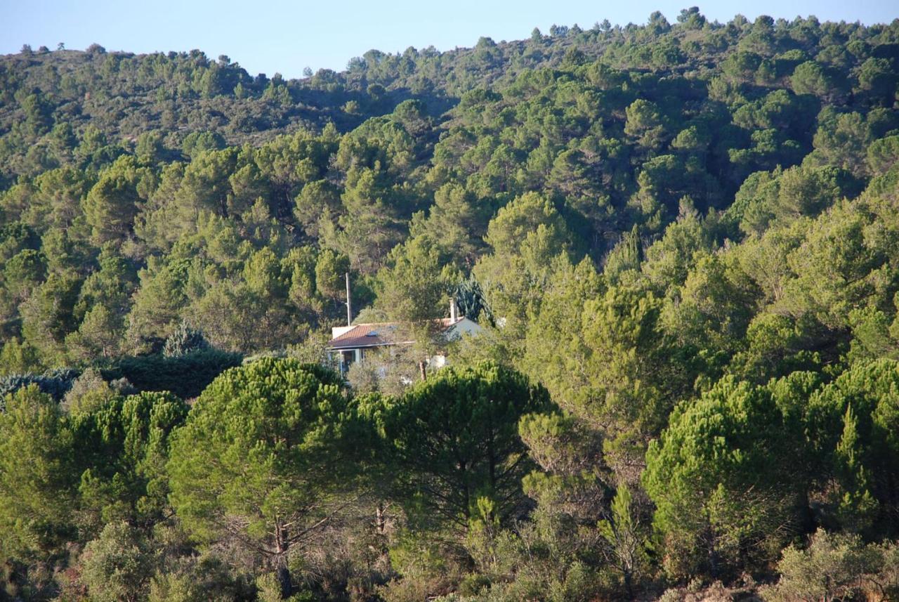La Petite Cigale Villa Cesseras Eksteriør bilde
